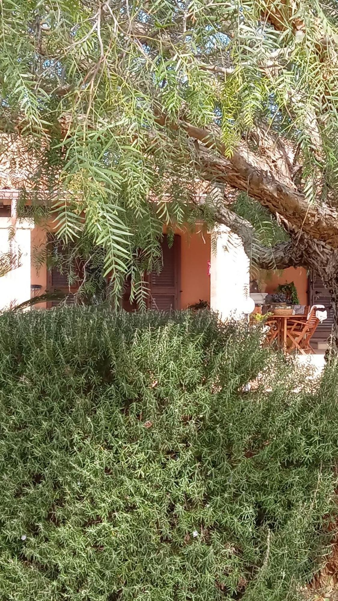 Oniro Specchia Bed & Breakfast Екстериор снимка